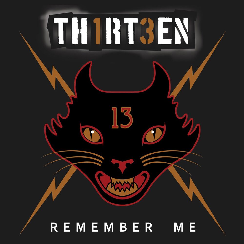 Picture of Thirteen