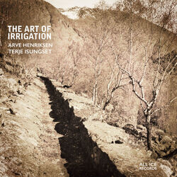 Cover of The Art of Irrigation