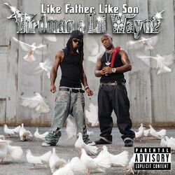 Cover of Like Father Like Son