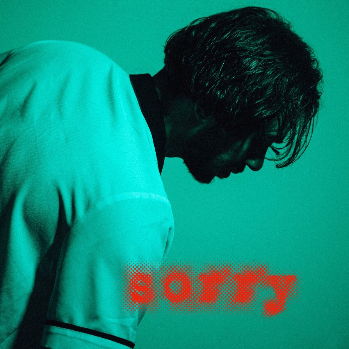 Album cover of Sorry