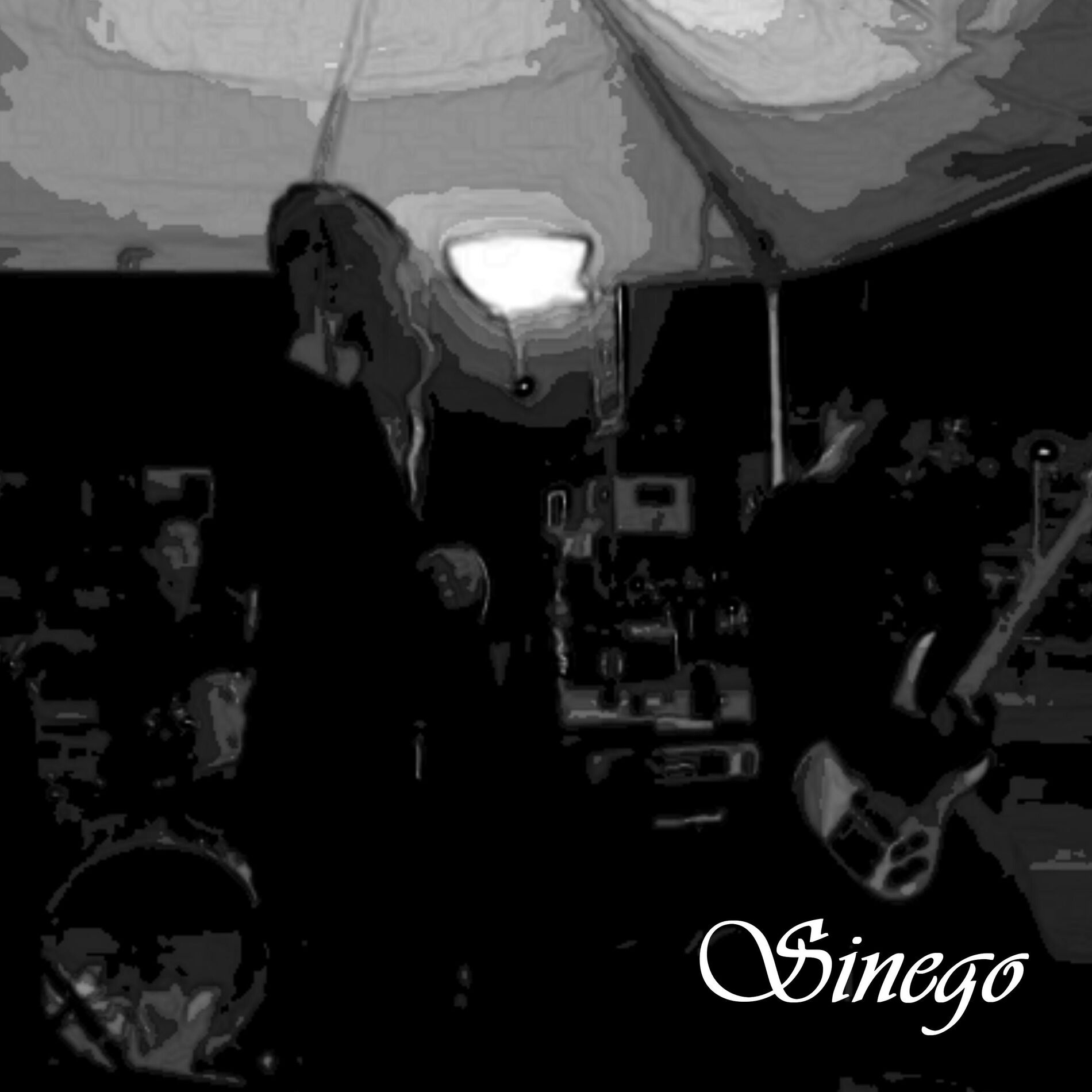 Album cover of Sinego