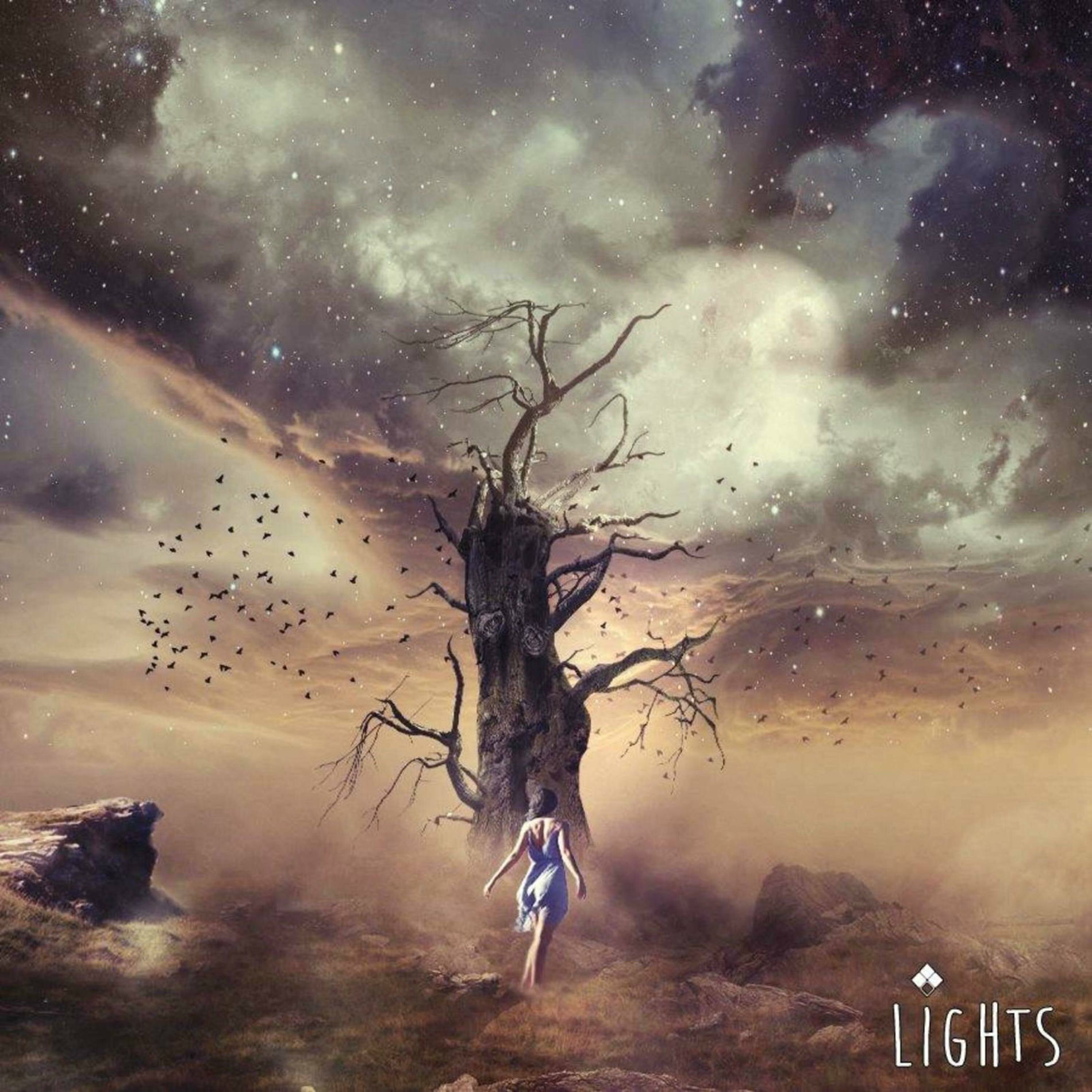 Album cover of Lights
