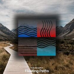 Cover of Floating Paths