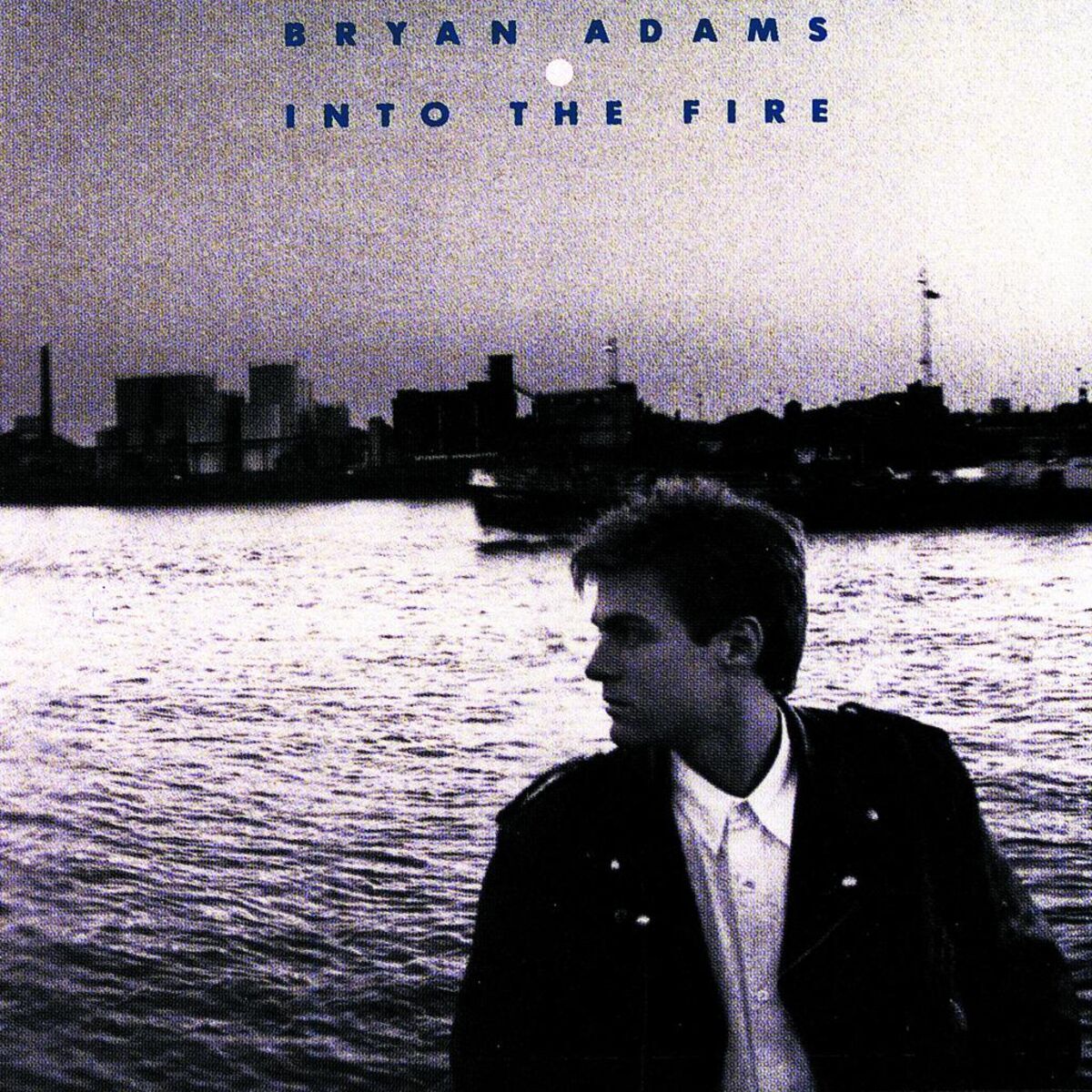 Album cover of Into The Fire