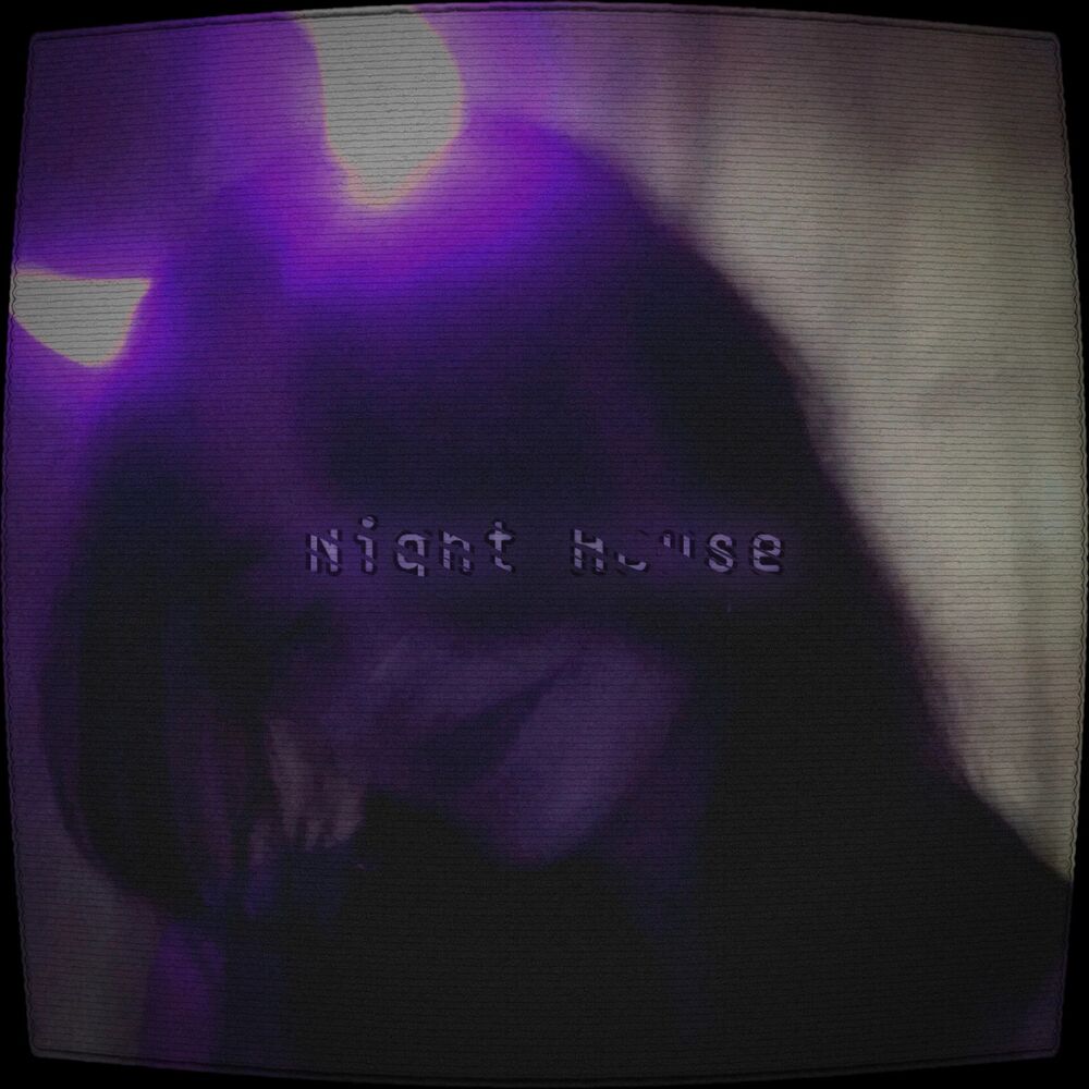 Picture of Night House