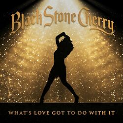 Cover of What's Love Got To Do With It