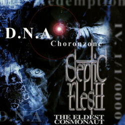 Cover of D.N.A Choronzone