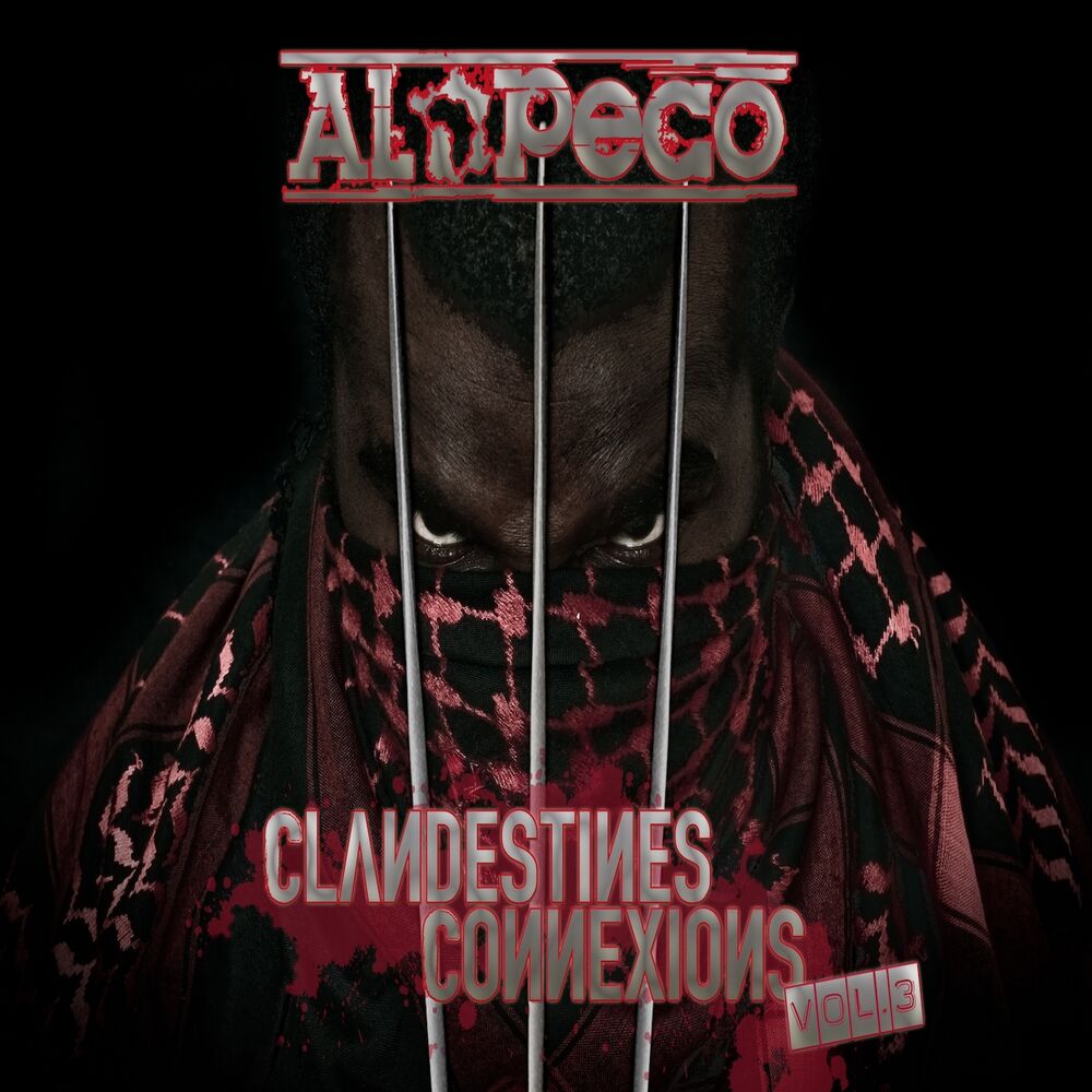 Picture of Clandestines connexions, vol. 3