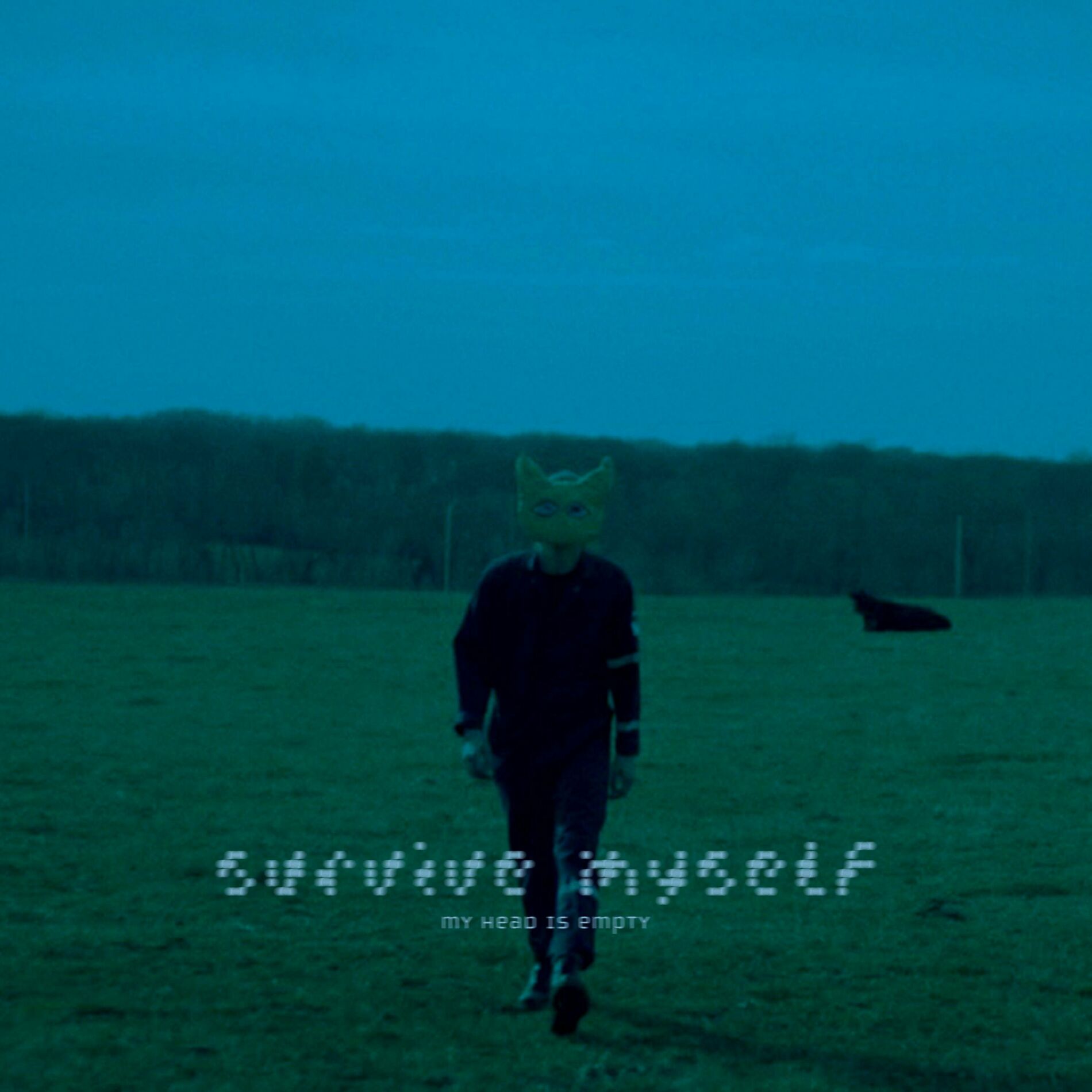 Album cover of survive myself