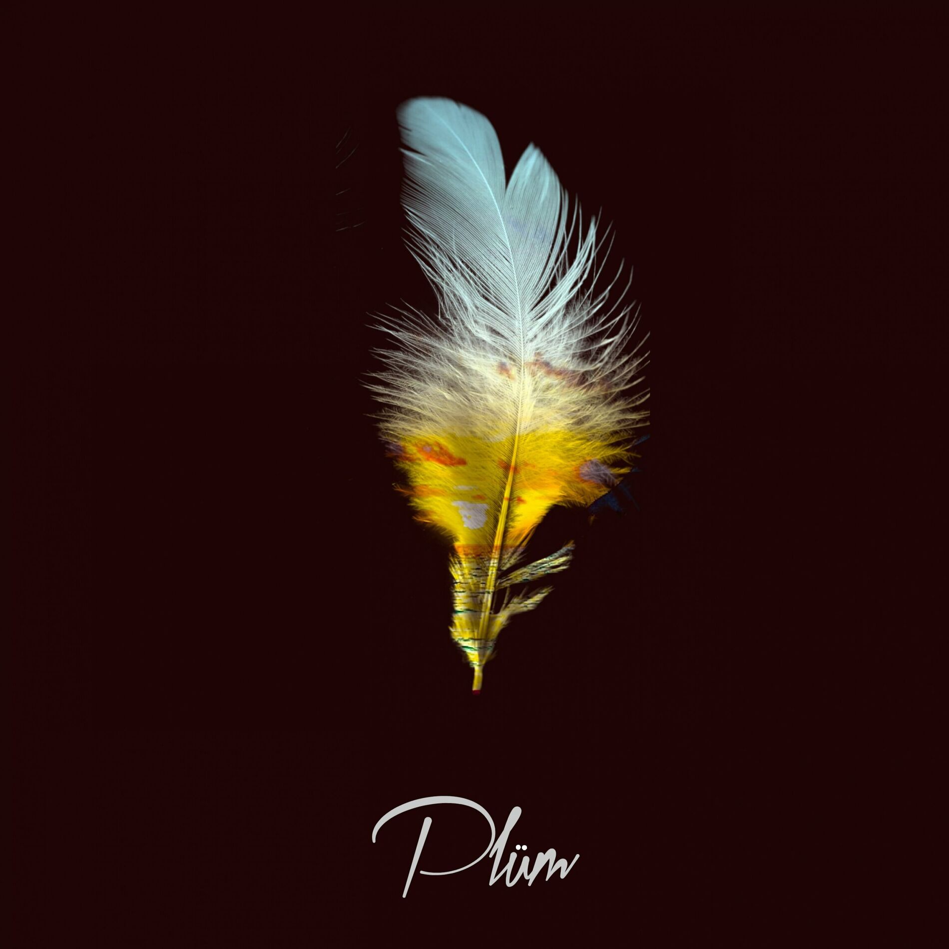 Album cover of Paradise