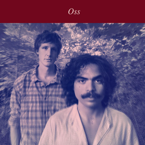 Oss