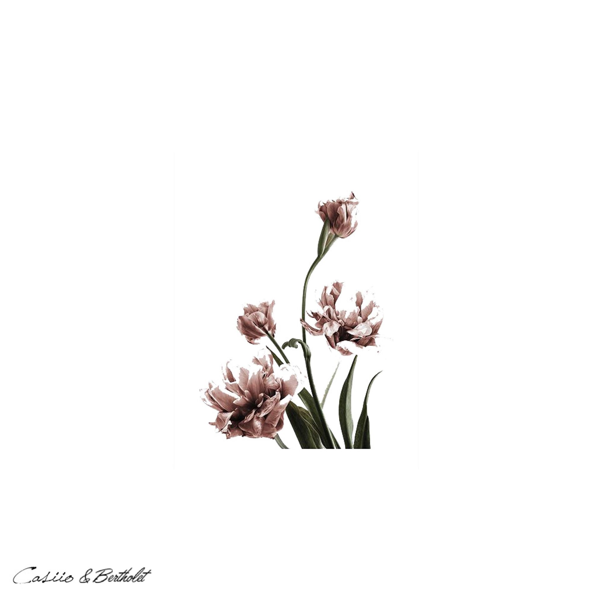 Album cover of Pastel (feat. Bertholet)
