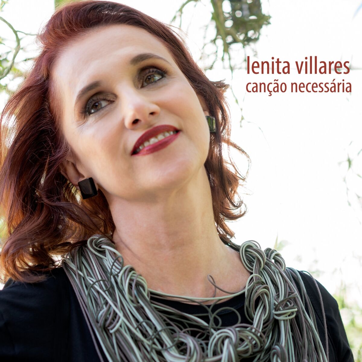 Album cover of Canção Necessária