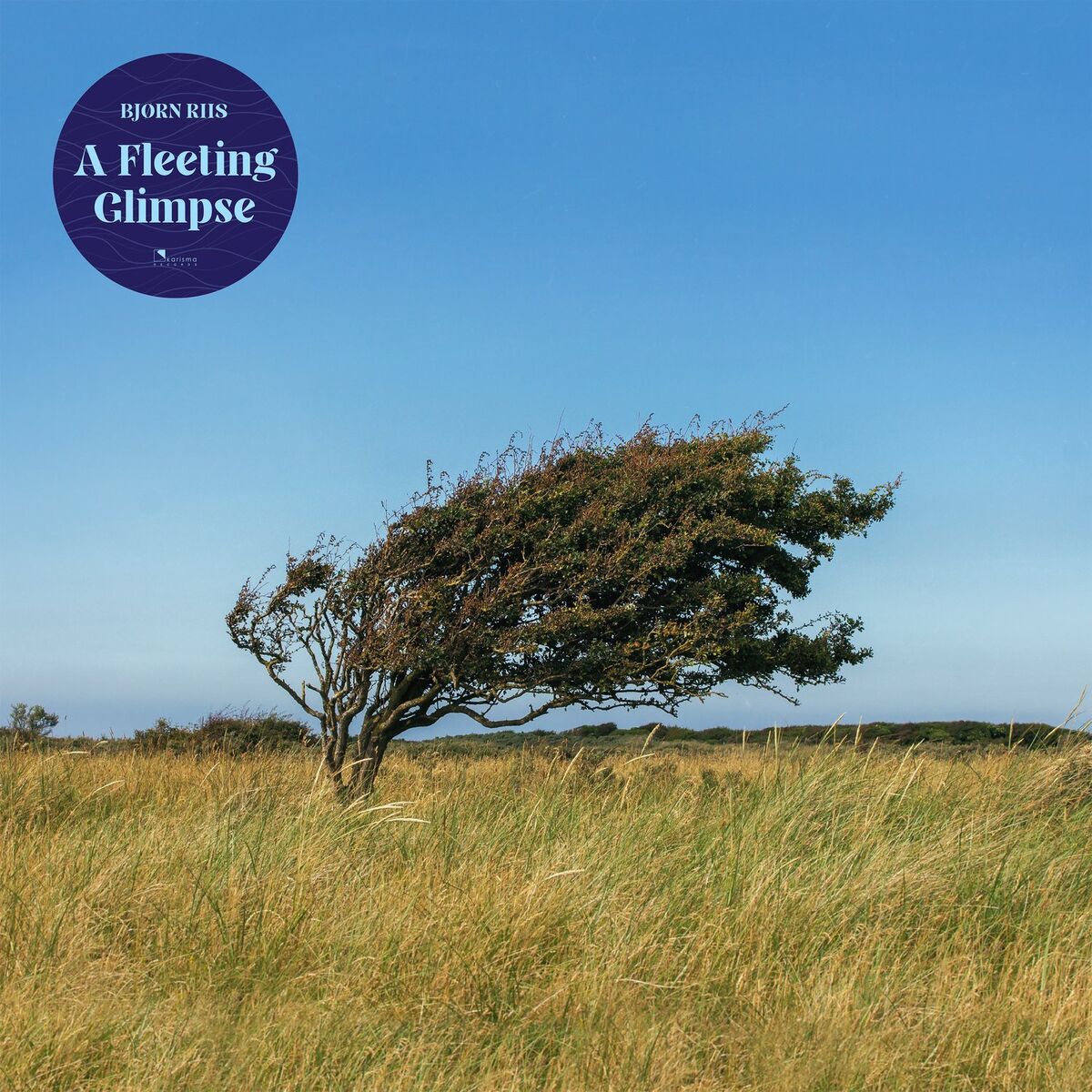 Album cover of A Fleeting Glimpse