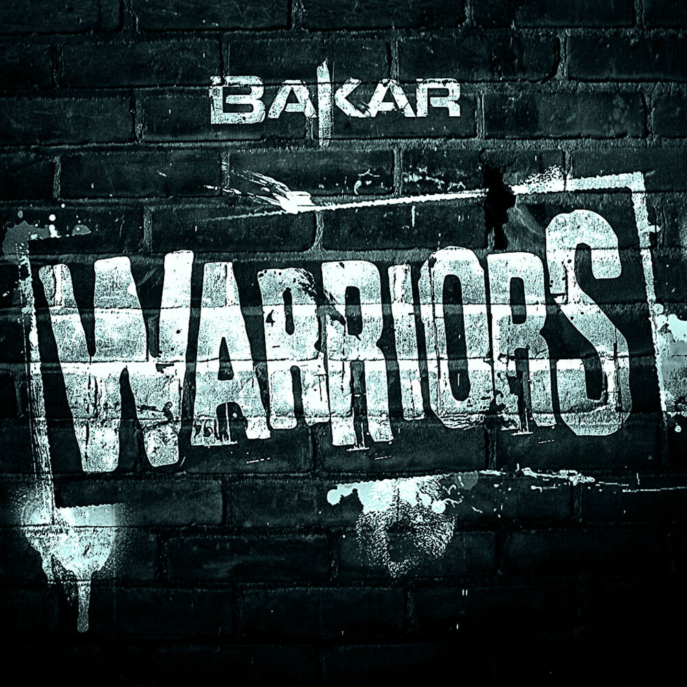 Picture of Warriors