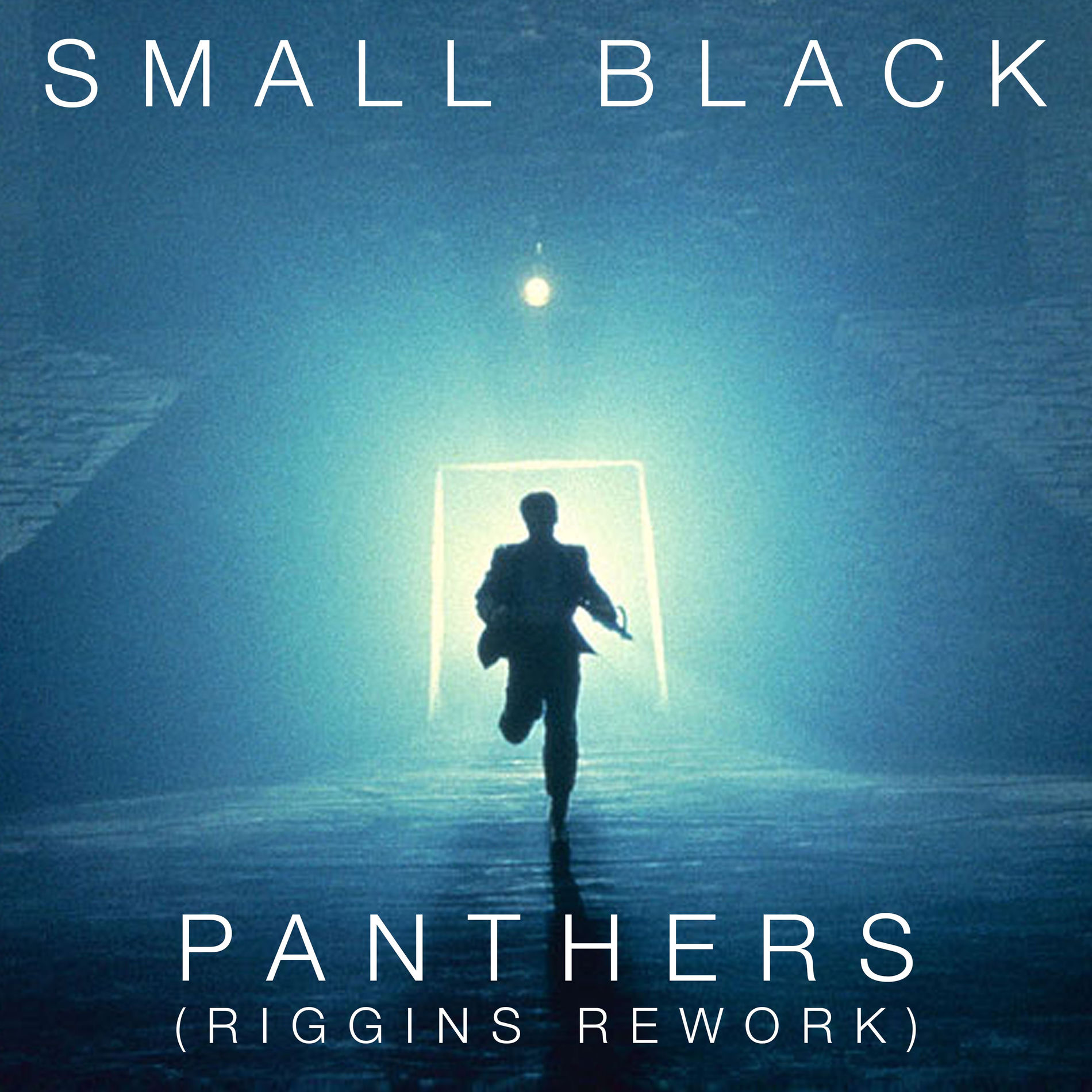 Album cover of Panthers (Riggins Rework)