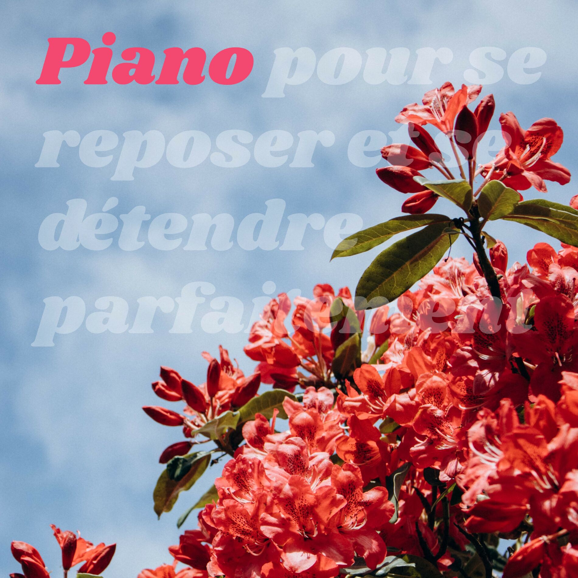 Album cover of Piano pour se reposer et se détendre parfaitement