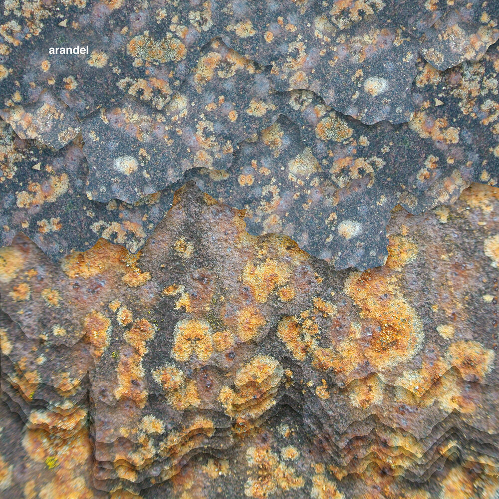 Picture of Solarispellis