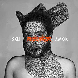 Cover of Seu Amor