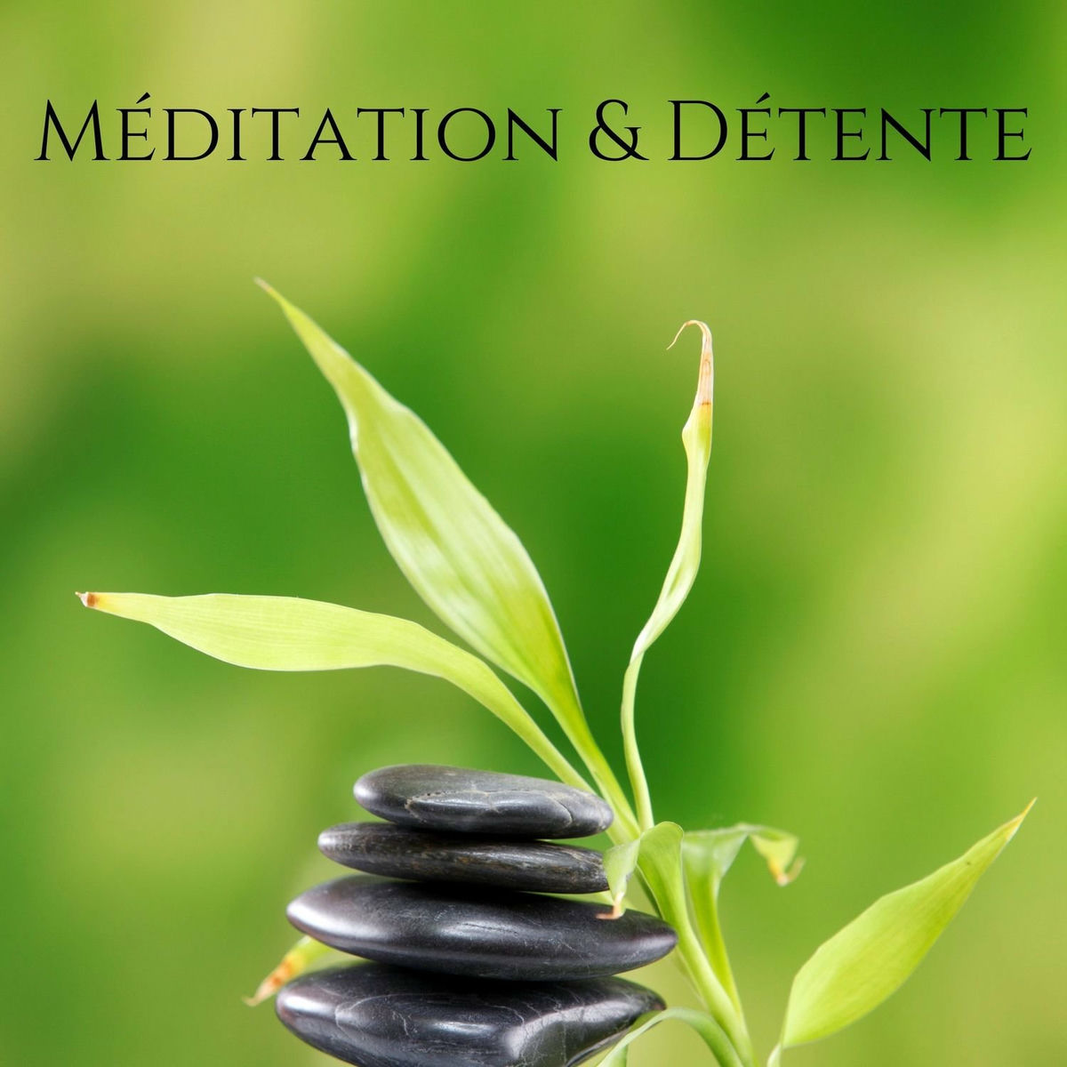 Album cover of Méditation & Détente: Sons de l'eau relaxants