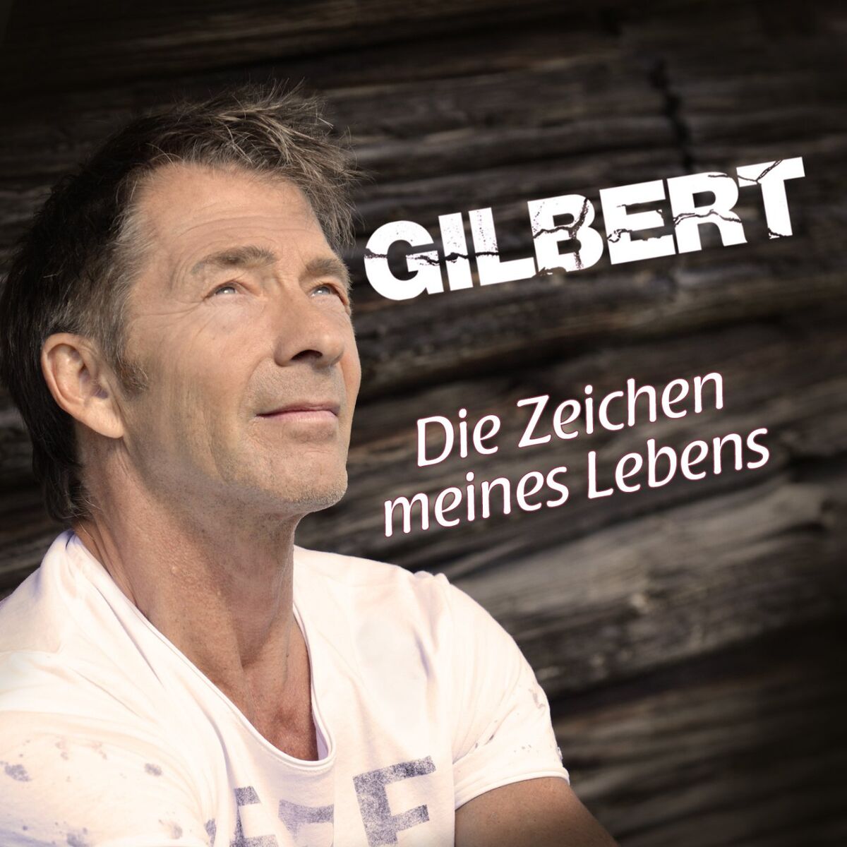 Album cover of Die Zeichen meines Lebens