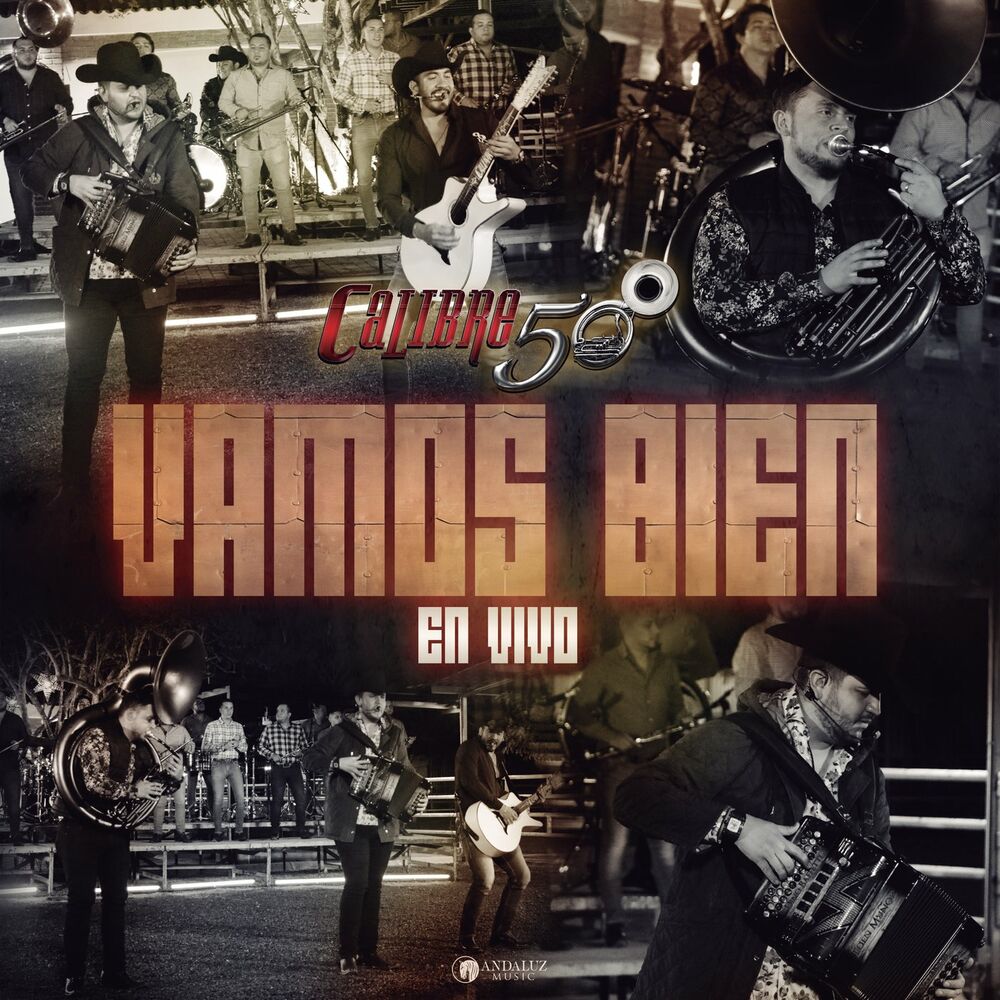 Picture of Vamos Bien (En Vivo)