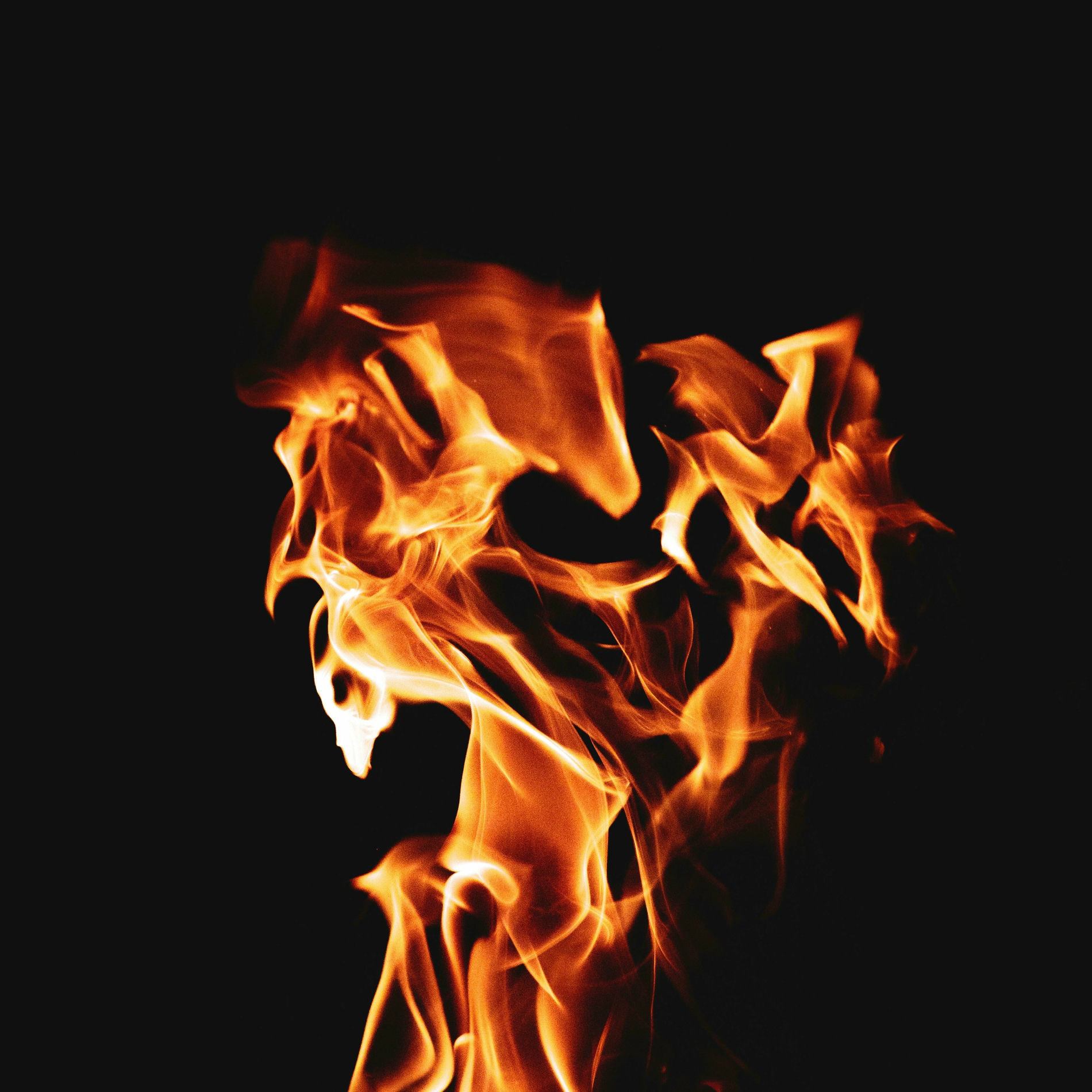 Album cover of ghost rider (freestyle)