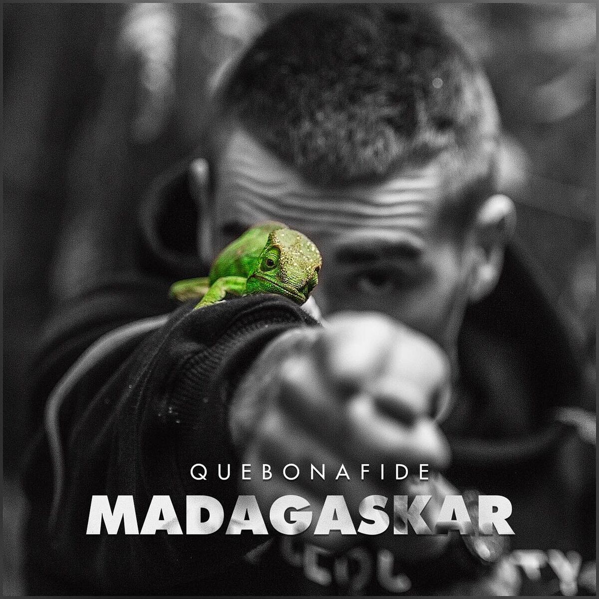 Album cover of Madagaskar