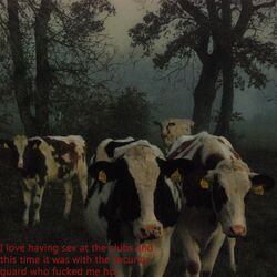 Cover of Love Spiral