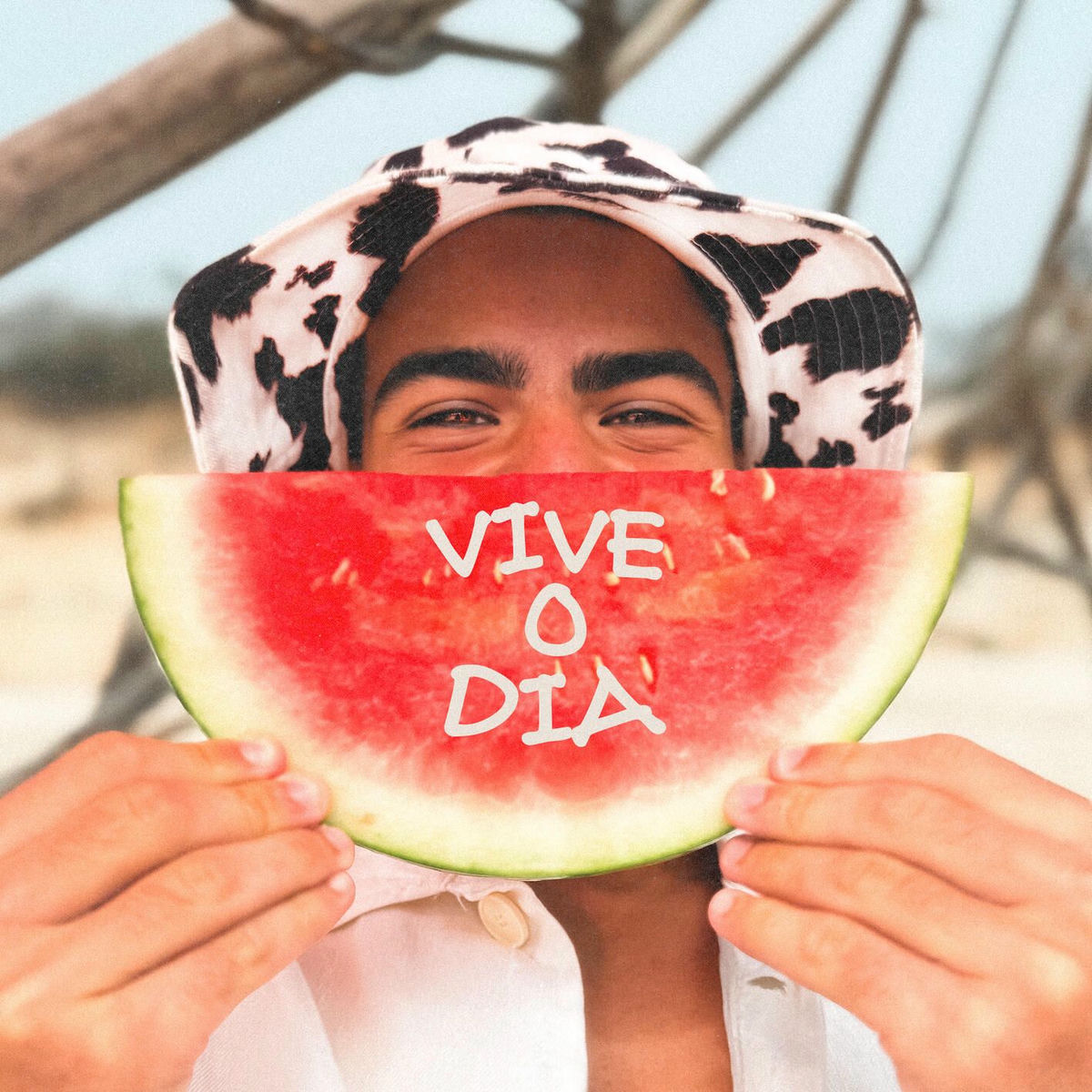 Album cover of Vive o dia