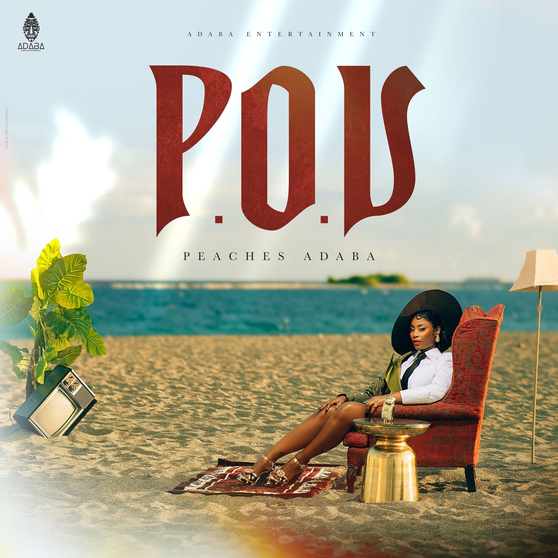 Album cover of POV
