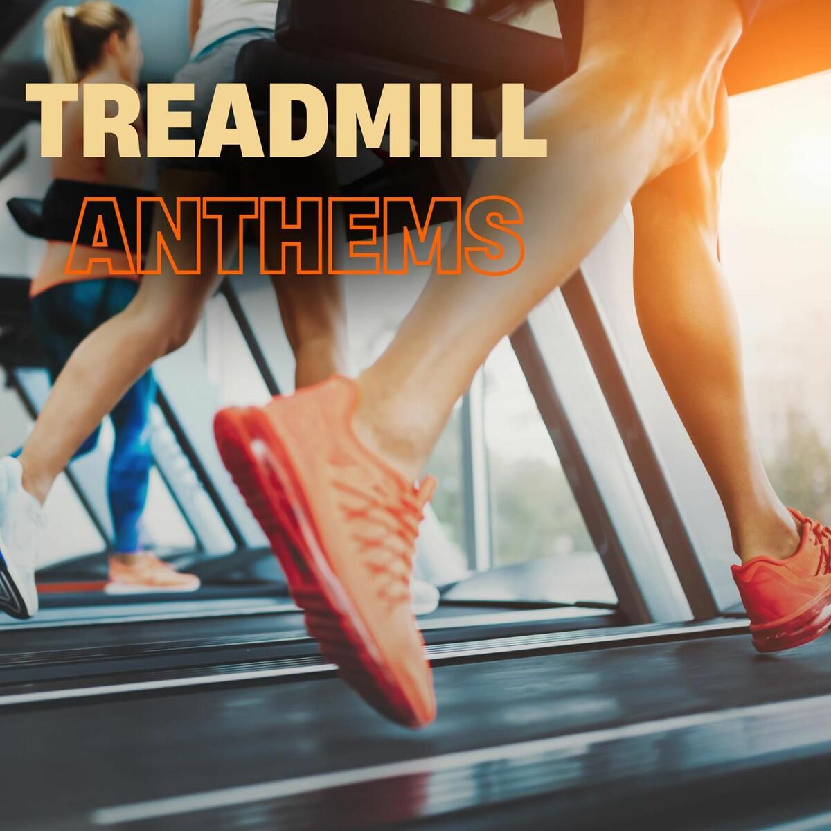 Album cover of Treadmill Anthems