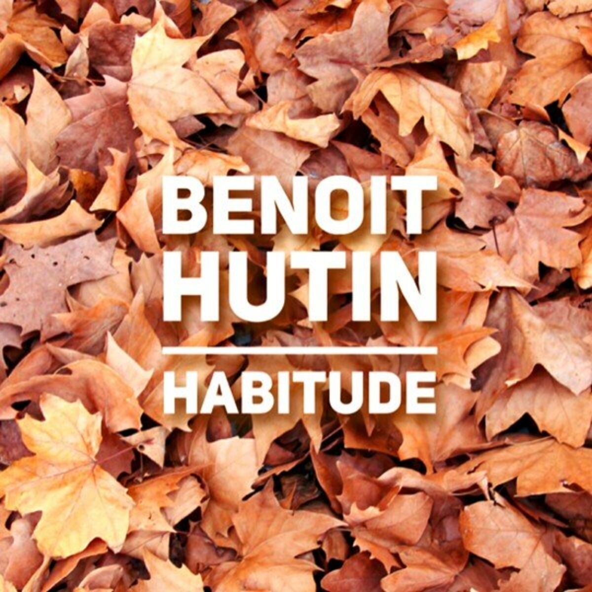 Album cover of Habitude
