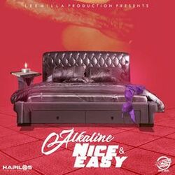 Cover of Nice & Easy