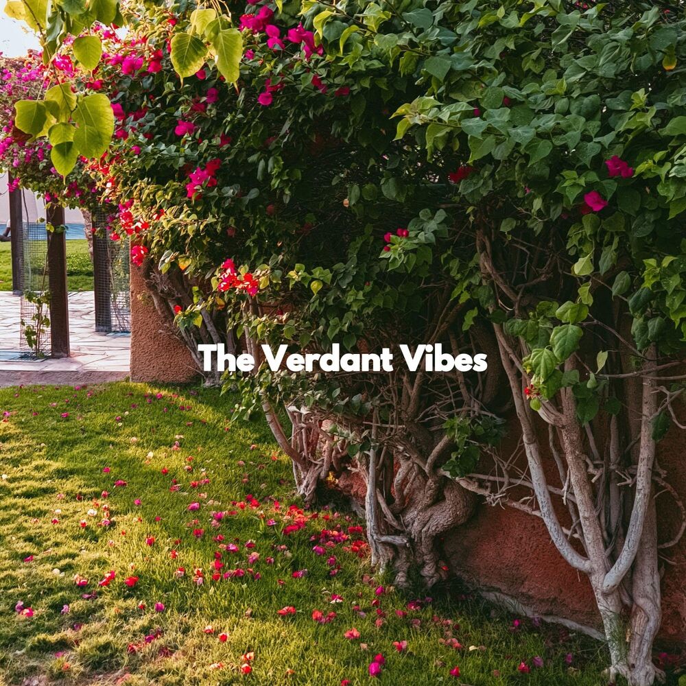 Picture of The Verdant Vibes
