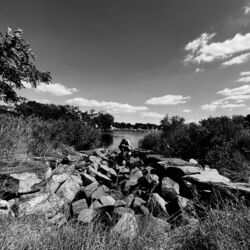 Cover of Bear Creek