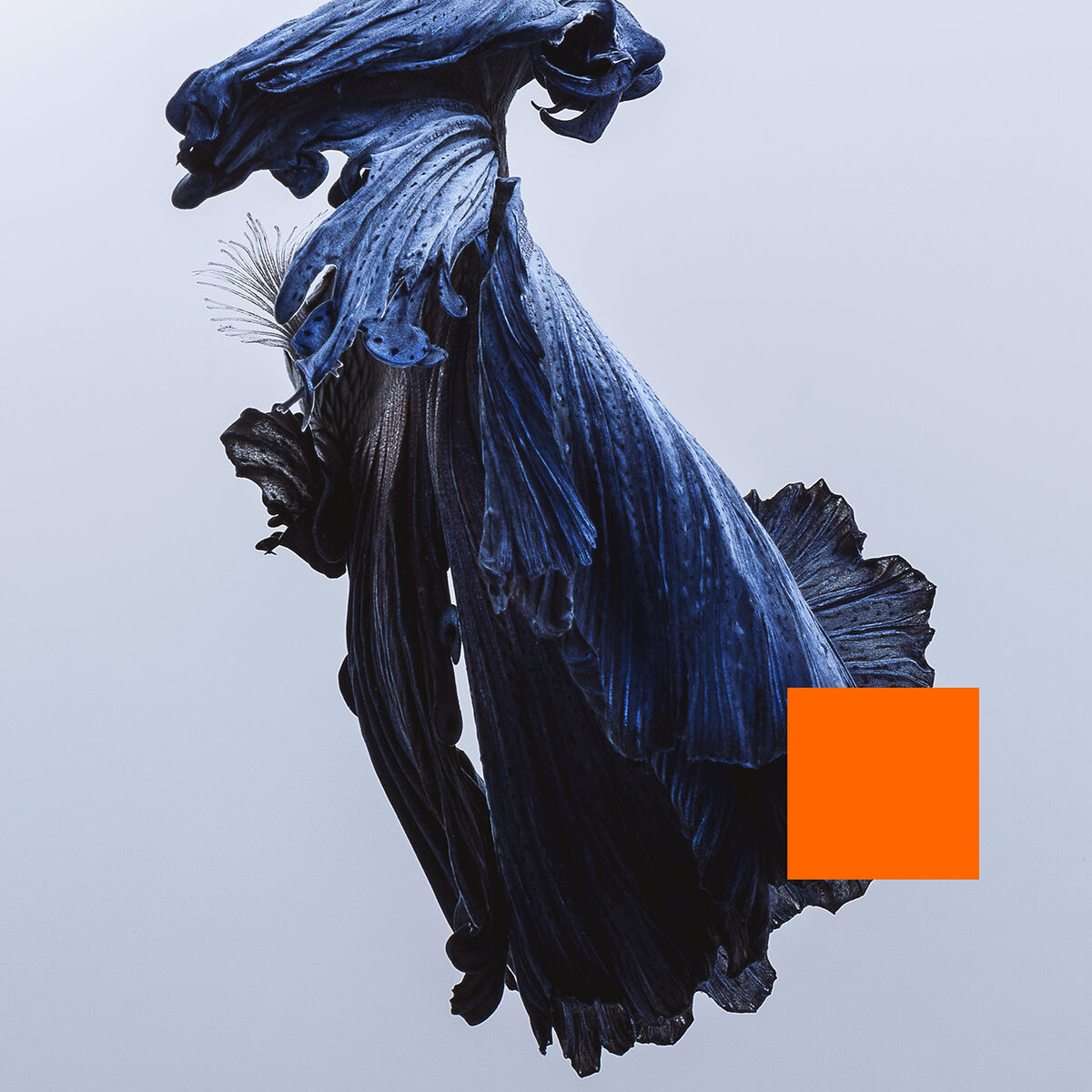 Album cover of To Each His Own