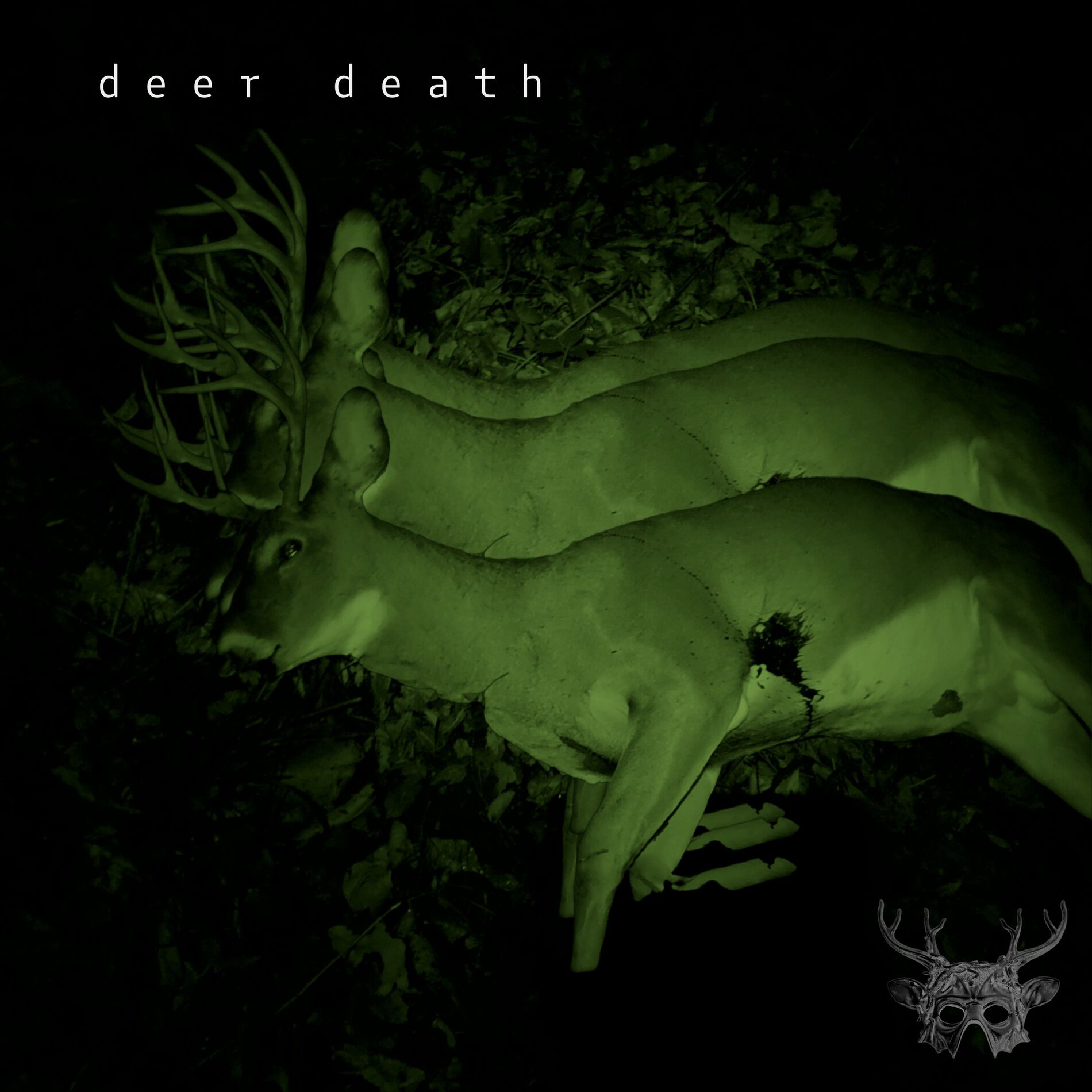 Album cover of Next Death