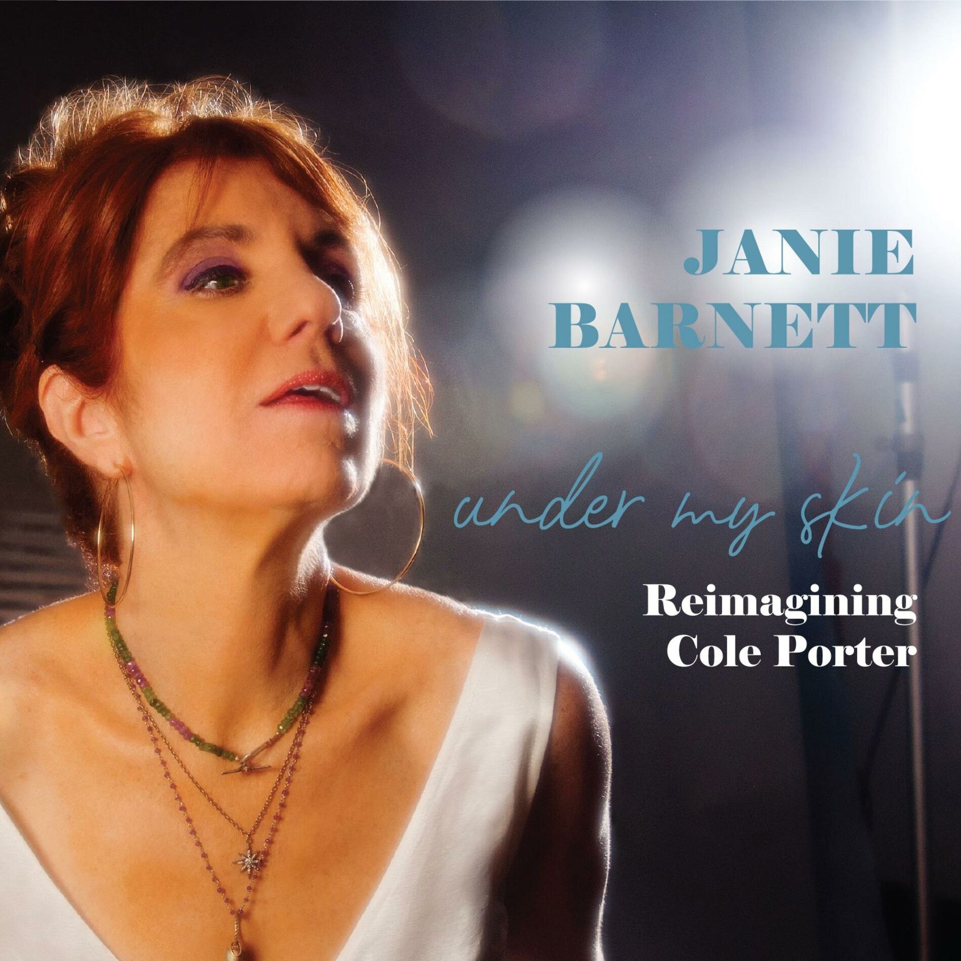 Album cover of Under My Skin: Reimagining Cole Porter