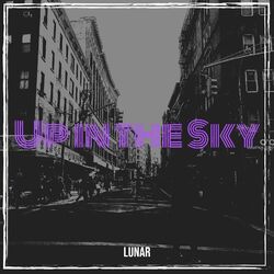 Cover of Up in the Sky