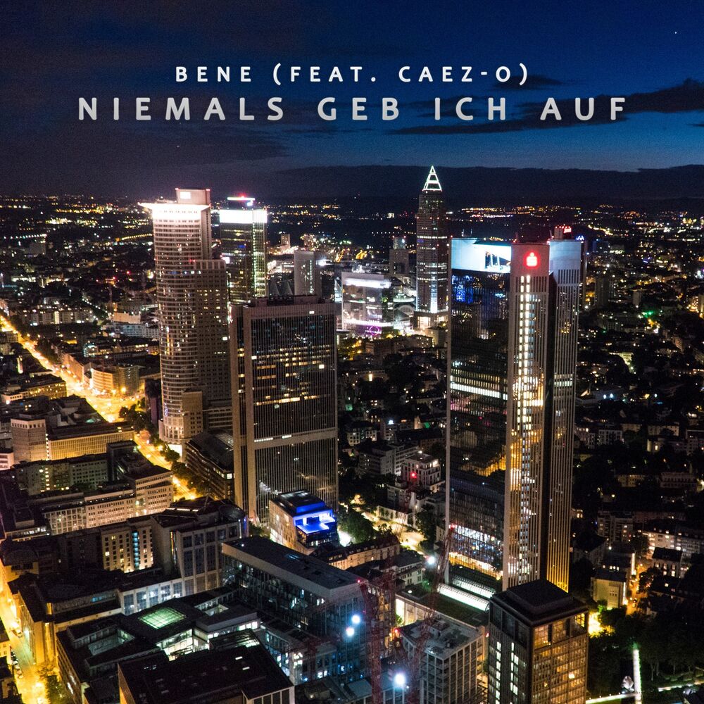 Picture of Niemals geb ich auf
