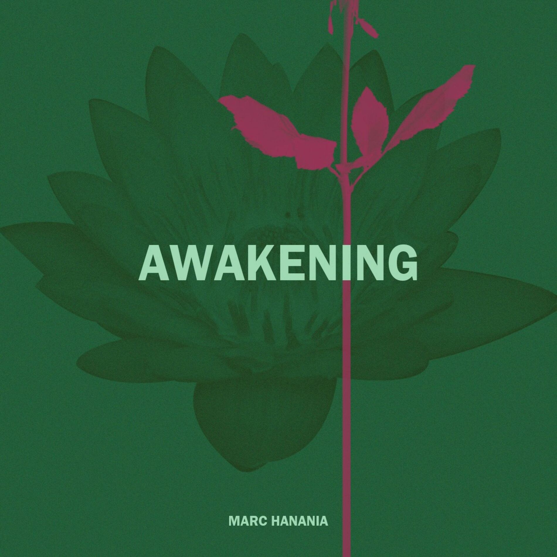 Album cover of Awakening