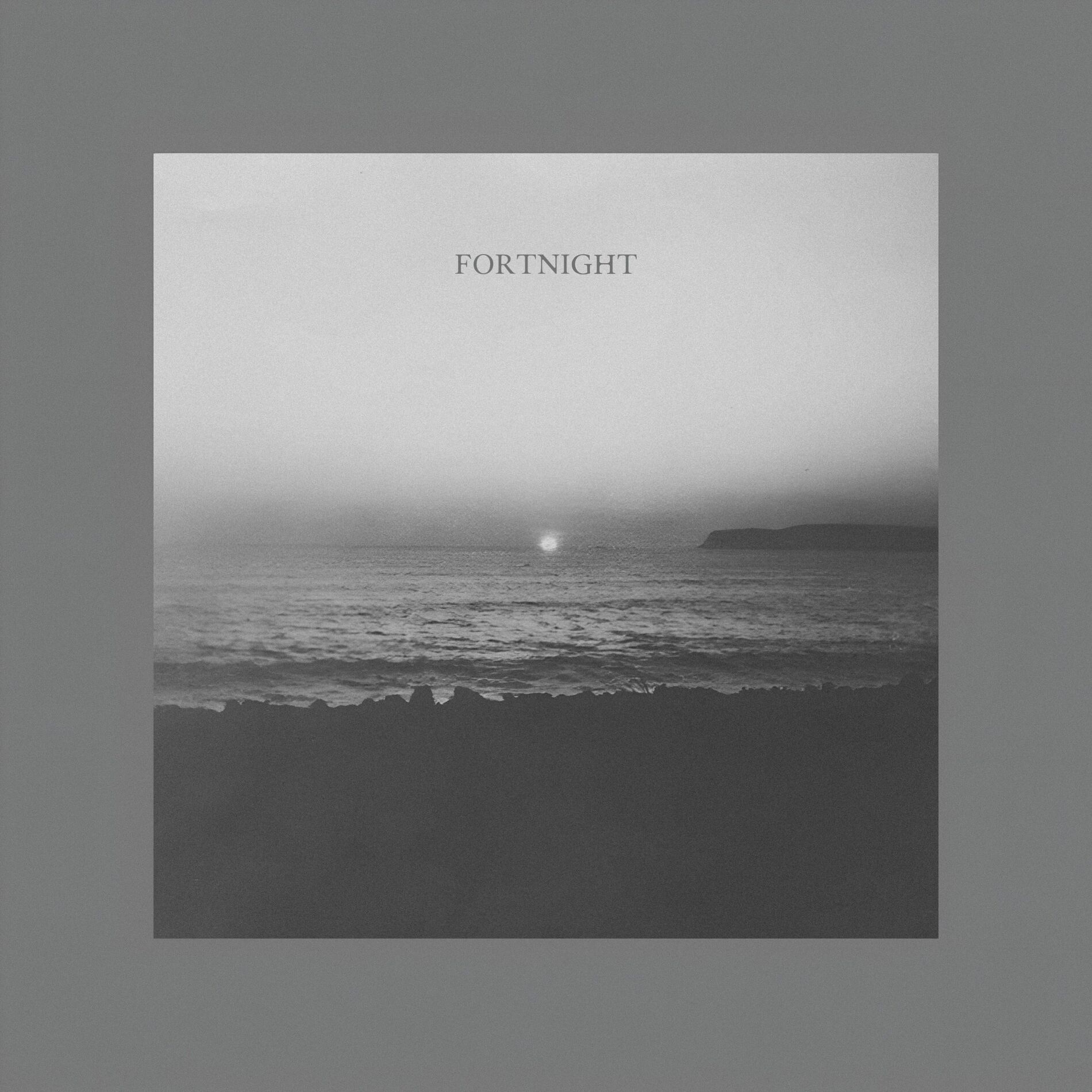 Album cover of Fortnight