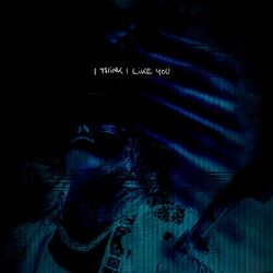 Cover of I Think I Like You