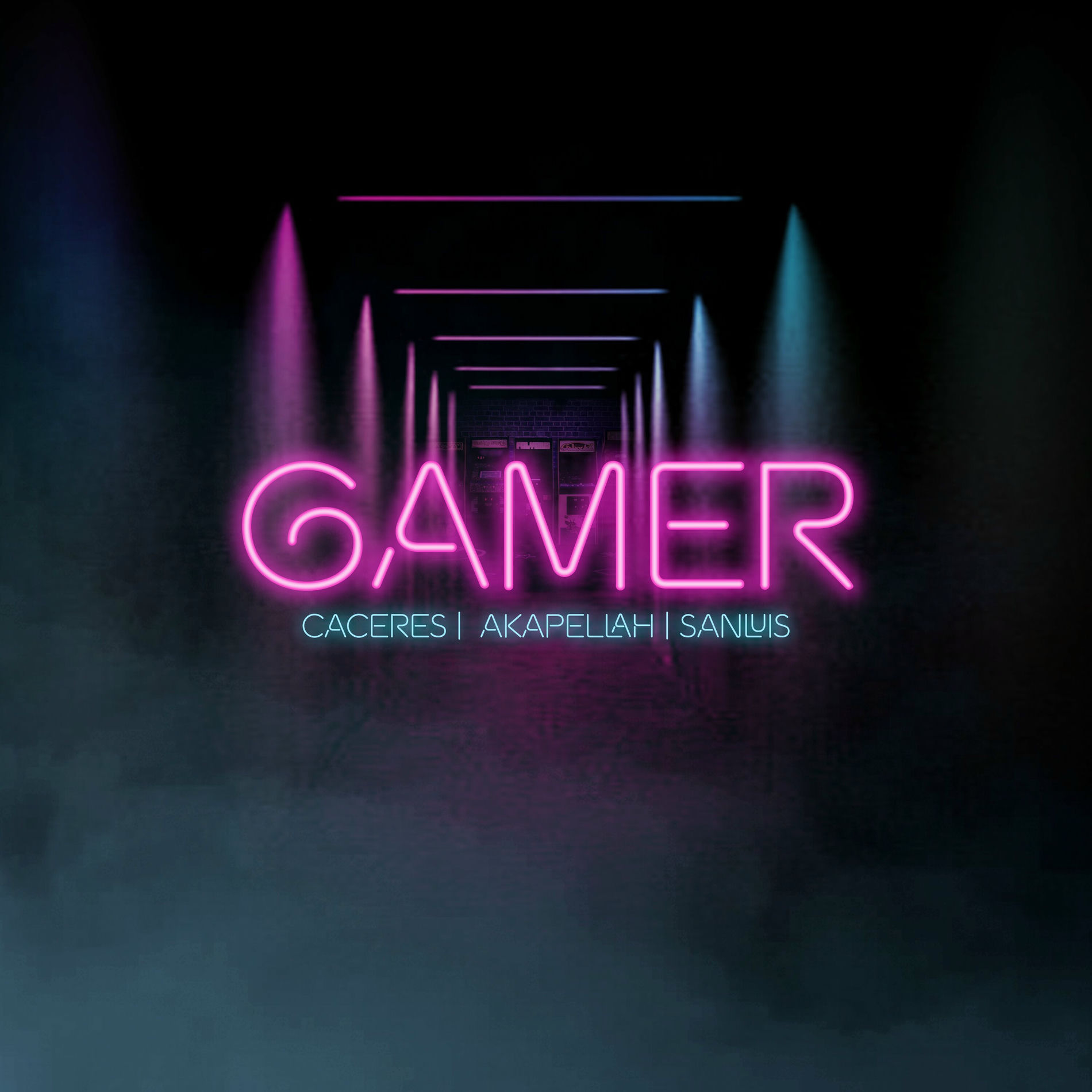 Album cover of Gamer