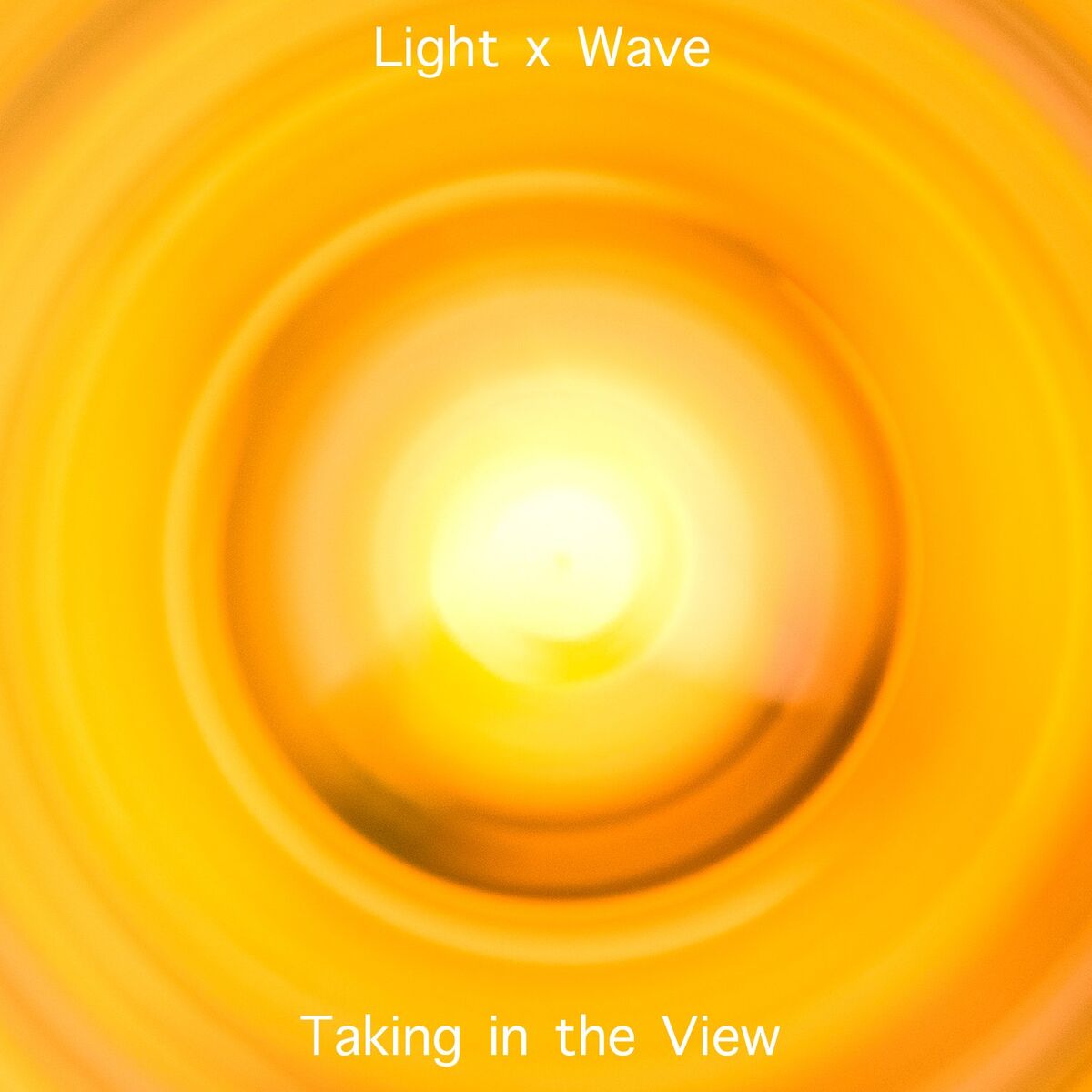 Album cover of Taking in the View