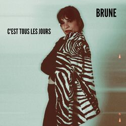 Cover of C'est tous les jours