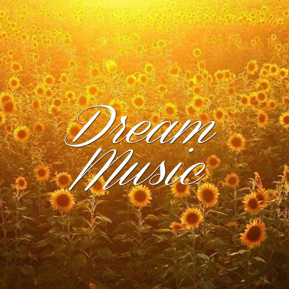 Album cover of Dream Music
