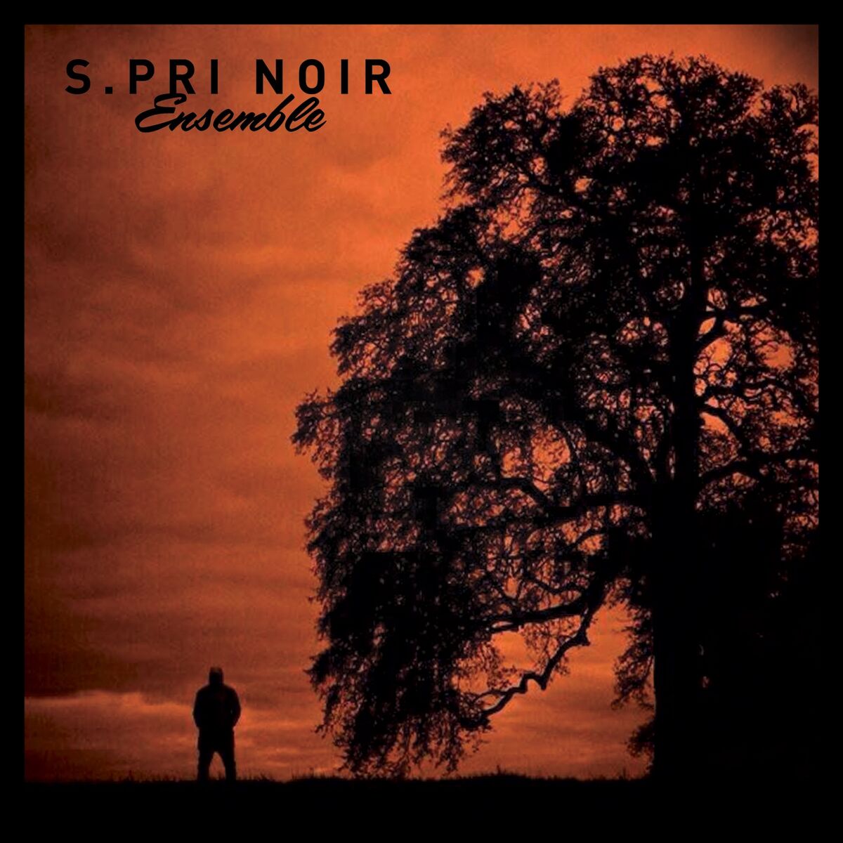 Album cover of Ensemble