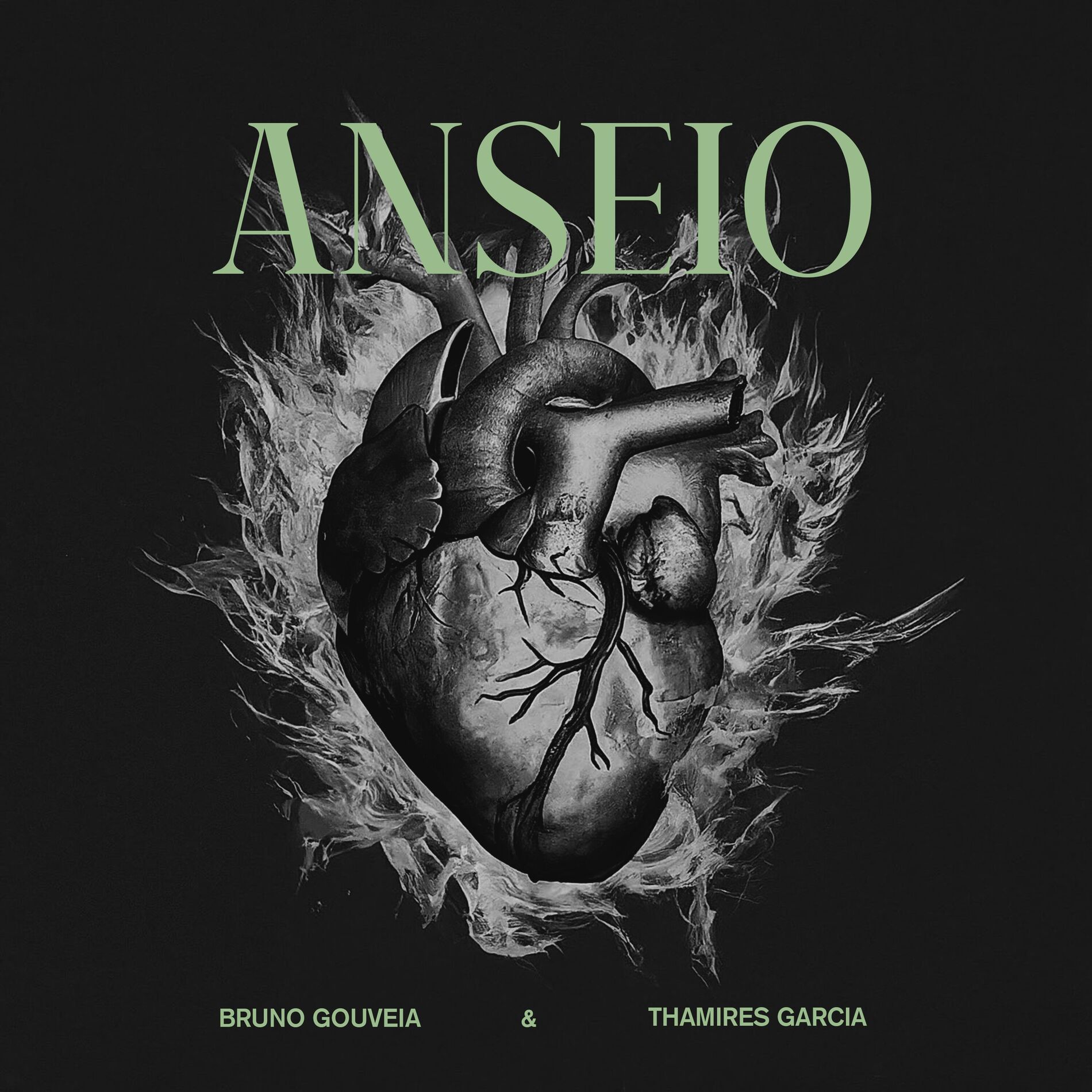 Album cover of Anseio